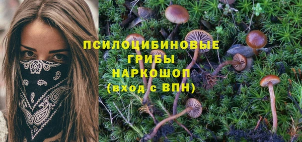 ешки Абинск