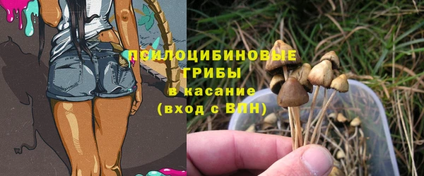 трава Россошь
